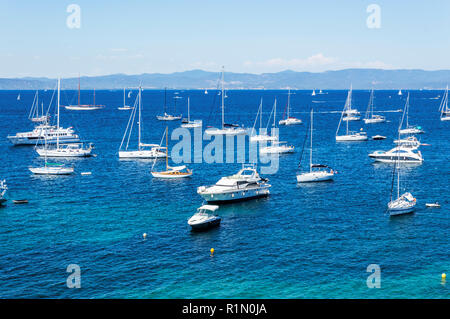 Le littoral à l'été l'île de Porquerolles Banque D'Images