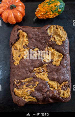 Brownies citrouille Banque D'Images