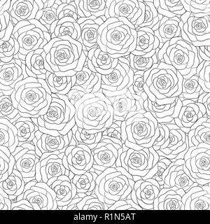 Hand drawn vector roses blanches modèle homogène. Ornement floral pour enfants et adultes livres à colorier. Illustration de Vecteur