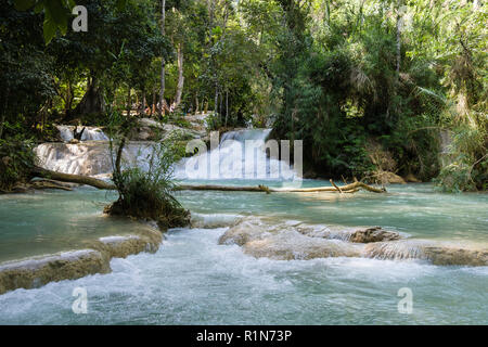 Piscine de Tat Kuang Si Xi ou chutes d'eau dans les bois. Luang Prabang, Laos, Asie du sud-est Banque D'Images