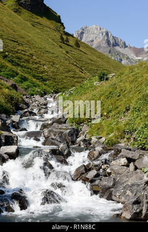 Sur la montagne avec rivière à Furenalp sur Engelberg sur les Alpes Suisses Banque D'Images