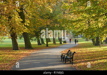 Clissold Park, North Stoke Newington London, aux couleurs de l'automne Banque D'Images