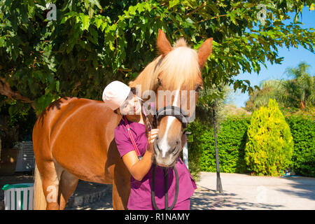 Souriante jeune femme médecin vétérinaire avec portrait cheval brun à l'extérieur. Equestrian healthcare medical concept. Banque D'Images