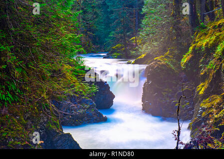 Détail de Little Qualicum Falls, une destination populaire dans l'île de Vancouver, BC Canada Banque D'Images