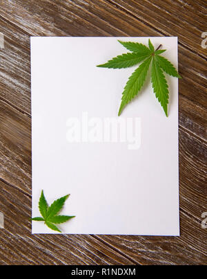 Le Cannabis feuilles isolées sur livre blanc sur fond de bois - concept de carte de marijuana Banque D'Images