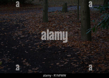 Parc Belleisle, Ayr, Ecosse en couleurs d'automne Banque D'Images