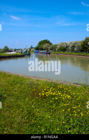 Devizes, Wilstshire, UK - 29 mai 2016 : Fin du printemps soleil apporte des propriétaires de bateau et les visiteurs d'un port de plaisance au pied de Caen Hill Locks sur le Kennet and Avon Canal près de Devizes. Le canal a été restauré par étapes, en grande partie par des bénévoles. Après des décennies d'abandon qu'il fut complètement rouvert en 1990. Le canal Kennet et Avon est une populaire destination touristique du patrimoine. Banque D'Images