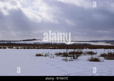 Première neige de la saison Banque D'Images