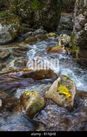 Dans la rivière Orfento Majella National Park Banque D'Images