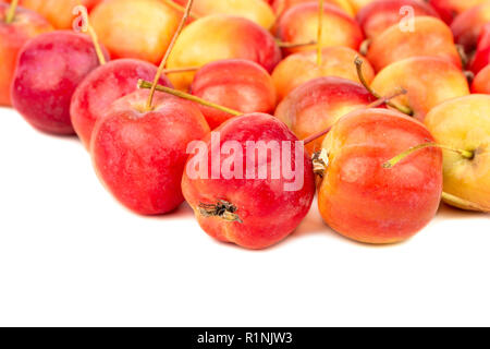 Paradis dispersés sur un fond blanc apple close-up Banque D'Images