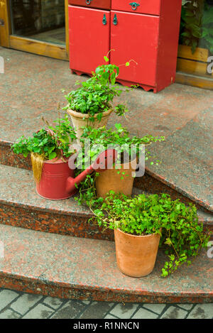 Les fleurs et les plantes en pots et bains à remous dans la conception Banque D'Images