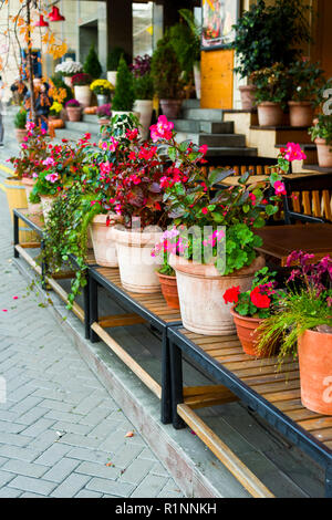 Dans les bacs de fleurs ornant Banque D'Images