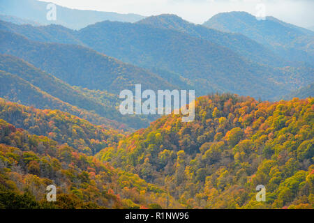 Couleur d'automne sur les pentes des montagnes de l''Oconaluftee, Great Smoky Mountains National Park, North Carolina, USA Banque D'Images