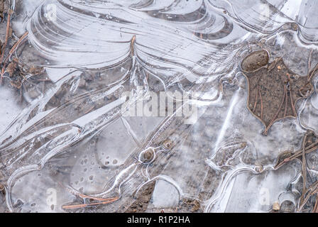 Flaque gelée close-up Banque D'Images