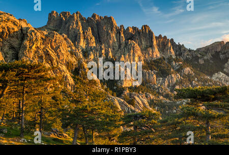 Aiguilles de Bavella, vue au lever du soleil depuis le Col de Bavella, Corse-du-Sud, Corse, France Banque D'Images