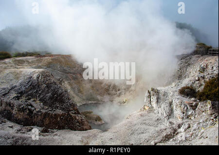 Bird's Nest cratère, Wai-o-tapu près de Rotorua, Nouvelle-Zélande. Le bord du cratère montrant les dépôts de minéraux et de la vapeur s'échapper. Banque D'Images