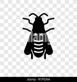 Icône vecteur Wasp isolé sur fond transparent, Wasp transparence concept logo Illustration de Vecteur