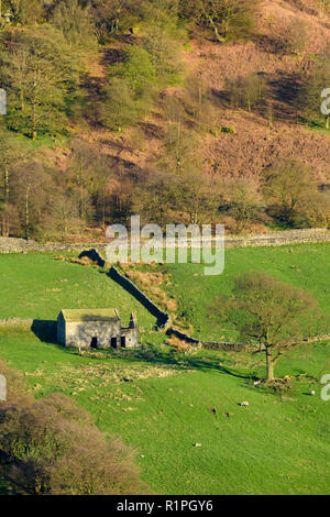 Vue de haut, isolé, ruiné délabrées grange terrain éclairé par le soleil et les terres agricoles en pente à flanc de scenic Yorkshire Dales - North Yorkshire, England, UK Banque D'Images