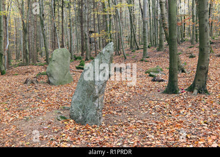 Menhirs dans les bois, République Tchèque Banque D'Images