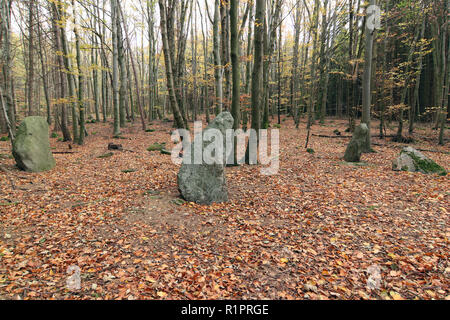 Menhirs dans les bois, République Tchèque Banque D'Images
