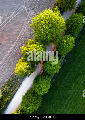 Drone Photo de la route entre les arbres en début de printemps coloré dans la campagne Village - champ fraîchement tondu d'un côté et champ cultivé sur t Banque D'Images