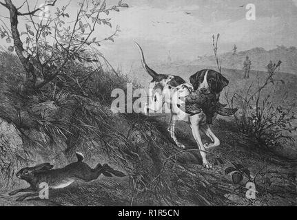 L'amélioration de la reproduction numérique, un chien porte un tout en faisan un lièvre s'enfuit, tirage original de l'année 1880 Banque D'Images