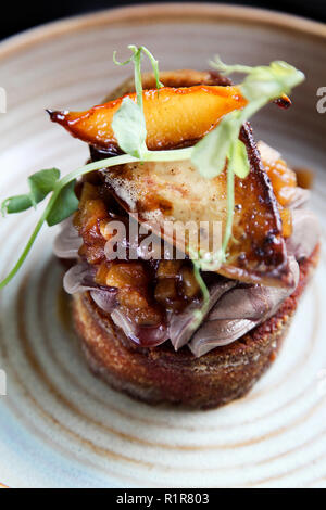 Foie gras français esthétique avec apple et chutney de poire sur le toast en style minimaliste Banque D'Images