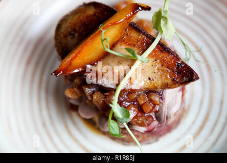 Foie gras français esthétique avec apple et chutney de poire sur le toast en style minimaliste Banque D'Images