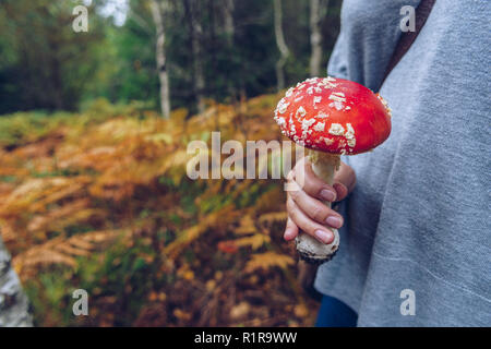 La tenue féminine Amanita muscaria mushroom Banque D'Images