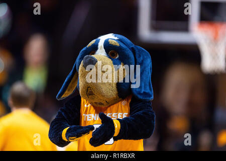 Knoxville, Tennessee, USA. 13Th Nov, 2018. Novembre 13, 2018 : New York bénévoles mascot pendant le match de basket-ball de NCAA entre les bénévoles de l'Université du Tennessee et le Georgia Tech Yellow Jackets à Thompson Boling Arena de Knoxville TN Tim Gangloff/CSM Crédit : Cal Sport Media/Alamy Live News Banque D'Images