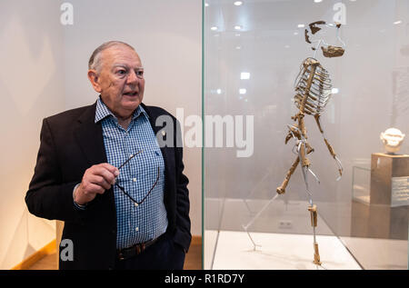 14 novembre 2018, Hessen, Frankfurt/Main : l'American paleoanthropologist et découvreur de la "Lucy" squelette, Donald C. Johanson, se tient à côté d'une réplique de la "Lucy" squelette dans le musée Senckenberg. L'paleoanthropologist découvert les ossements d'Australopithecus afarensis il y a 44 ans en Éthiopie. Le squelette "Lucy" a été longtemps considérée comme la plus ancienne preuve de la démarche à l'endroit de nos ancêtres. Photo : Silas Stein/dpa Banque D'Images