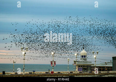 Blackpool, Lancashire, Royaume-Uni. 14 novembre, 2018 dans "sécurité"   Le ciel s'assombrit sur Blackpool comme des dizaines de milliers d'Étourneaux se rassemblent sur la jetée du Nord. Environ 20 000 oiseaux se perchent swoop et mesure de choisir le meilleur endroit pour survivre au froid sur un vent soufflant la Fylde coast ; décrit comme la dernière danse avant de se coucher, la raison de l'swooping, tordant et virevoltant reste en grande partie un mystère. Credit : MediaWorldImages/Alamy Live News Banque D'Images