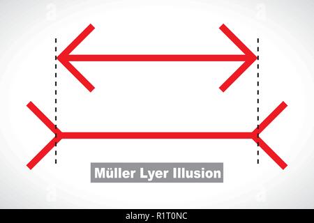 Muller-Lyer illusion optique illustration Illustration de Vecteur