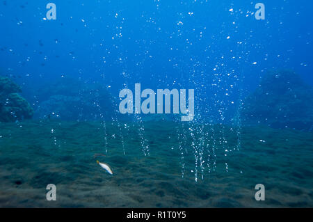 Fumerolle ; de s'échapper des bulles de gaz se soulever du sable. Sangeang, Indonésie. Banque D'Images