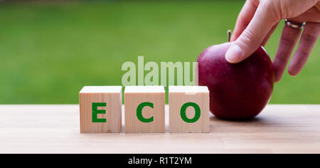 Dés forment le mot "éco" comme symbole pour les aliments biologiques sains Banque D'Images