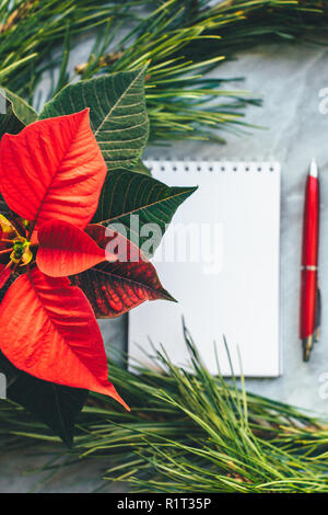 Gros plan de Noël poinsettia avec maquette, couronne de pin, l'ordinateur portable, avec l'exemplaire. Fond confortable Banque D'Images