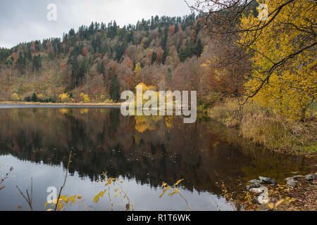 Dans la partie sud Nonnenmattweiher de Allemagne Banque D'Images