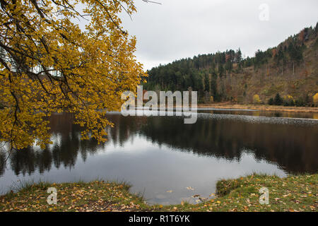 Dans la partie sud Nonnenmattweiher de Allemagne Banque D'Images