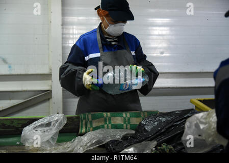 Le tri manuel direct, à l'installation de traitement des déchets mixtes à Astrakhan, Russie Banque D'Images