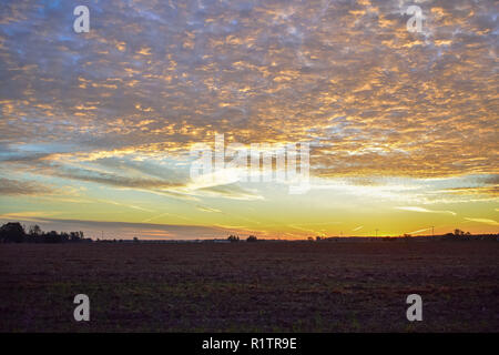 Lever du soleil dans les régions rurales des États-Unis. C'est dans les minutes juste avant le sun crest la ligne d'horizon. Le champ de blé en premier plan a été récolté. Banque D'Images