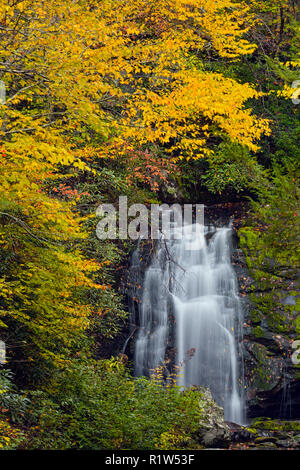 Meigs tombe en automne, Great Smoky Mountains National Park, California, USA Banque D'Images