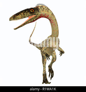 Coelophysis était un dinosaure théropode carnivore qui vivait dans la période du Trias de l'Amérique du Nord. Banque D'Images