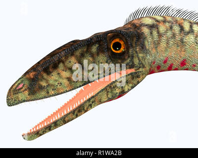Coelophysis était un dinosaure théropode carnivore qui vivait dans la période du Trias de l'Amérique du Nord. Banque D'Images