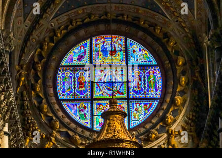 Bleu basilique Vierge Marie Saints Rosace vitrail de l'église cathédrale de Sienne en Italie. Réalisé à partir de 1215 à 1263. Banque D'Images