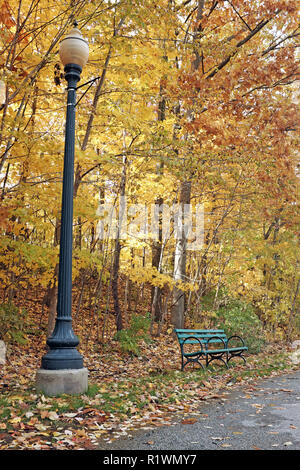 Lampadaire et un banc de parc vert vide entourée d'automne les feuilles tombées dans la région de Cain Park dans l'Ohio est éclairé par les arbres à feuilles jaunes et orange. Banque D'Images