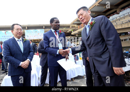 Le chef de délégation d'exposition chinois Wang Xiaoguang (centre) vu serrer la main avec le secrétaire du Cabinet pour Ministère du commerce et de l'industrie Peter Munya pendant l'événement. La Chine et le Kenya a organisé une exposition de la coopération de la capacité industrielle à Nairobi, au Kenya. Il s'agissait de signature de coopérations bilatérales dans les domaines de l'infrastructure où la production et les entreprises ont mis en place des processus de base en Afrique, dont le Kenya. Banque D'Images