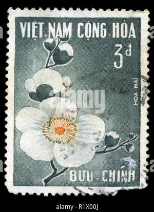 Timbre-poste du Vietnam dans les fleurs série émise en 1967 Banque D'Images