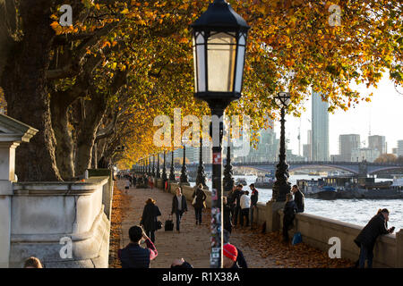 Couleurs d'automne le long du sentier sur la rive sud de la Tamise, à Londres, Angleterre, Royaume-Uni Banque D'Images