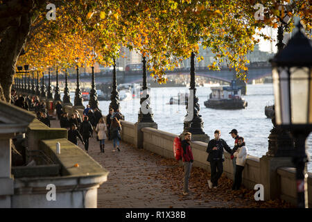 Couleurs d'automne le long du sentier sur la rive sud de la Tamise, à Londres, Angleterre, Royaume-Uni Banque D'Images