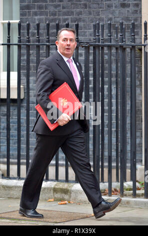 Dr Liam Fox MP (secrétaire d'État au Commerce international), en arrivant à Downing Street, London, UK, 13/11/2018 Banque D'Images
